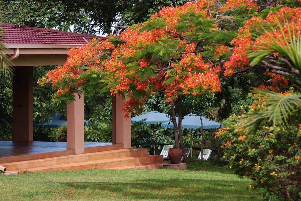 Abangane Guest Lodge Hazyview Εξωτερικό φωτογραφία