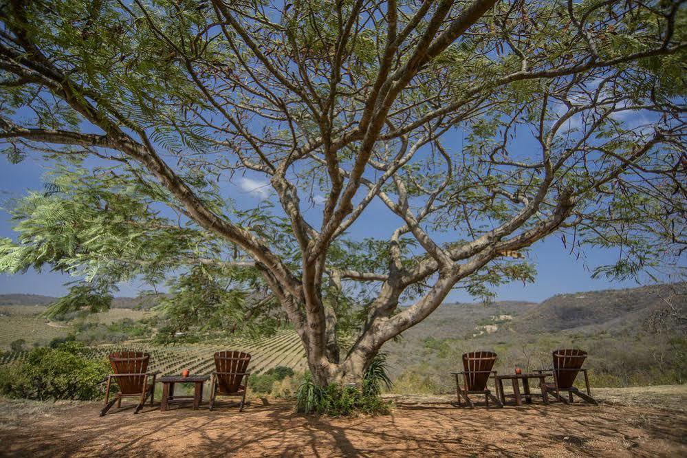 Abangane Guest Lodge Hazyview Εξωτερικό φωτογραφία