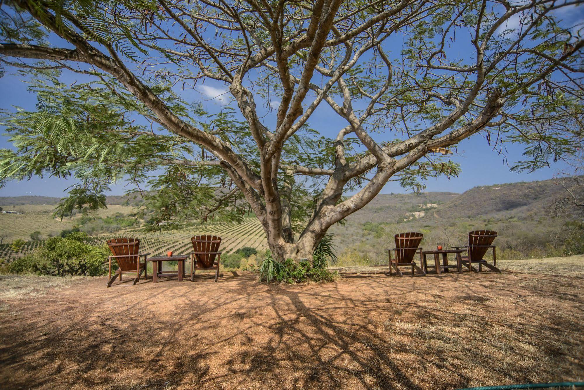 Abangane Guest Lodge Hazyview Εξωτερικό φωτογραφία