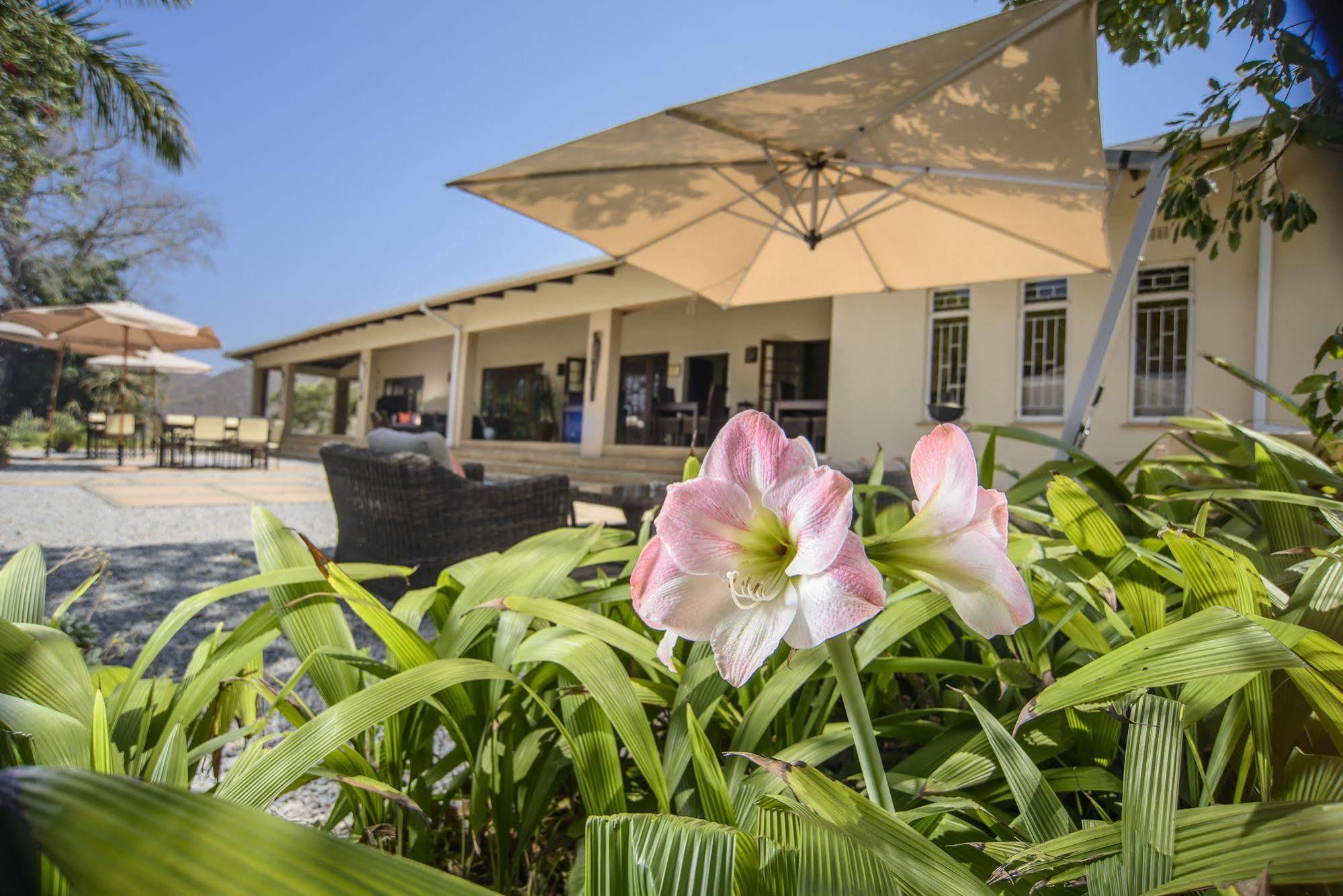 Abangane Guest Lodge Hazyview Εξωτερικό φωτογραφία